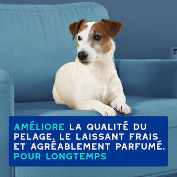 DOUXO SPA Shampoing Anti-odeurs