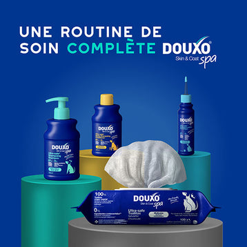 DOUXO SPA Shampoing Anti-odeurs