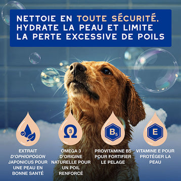 DOUXO SPA Shampoing Anti-chute de poils