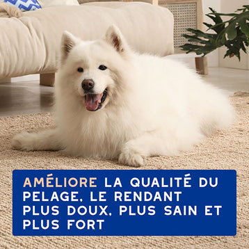 DOUXO SPA Shampoing Anti-chute de poils