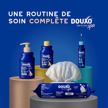 DOUXO SPA Shampoing Anti-chute de poils