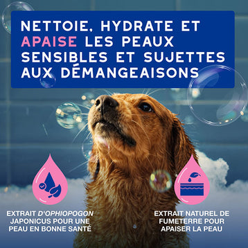 DOUXO SPA Shampoing Anti-démangeaisons