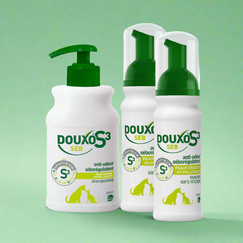 Pellicules et odeurs - Grande Routine