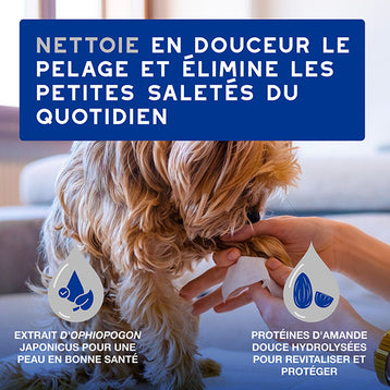 DOUXO SPA Lingettes multi-usages