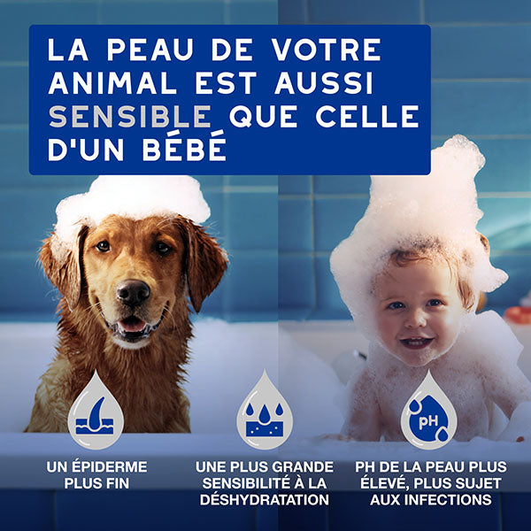 DOUXO SPA Lingettes multi-usages