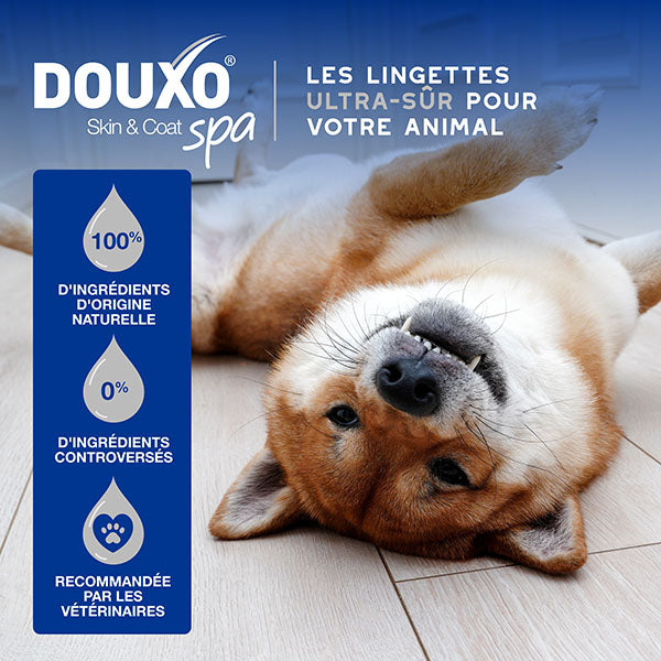DOUXO SPA Lingettes multi-usages
