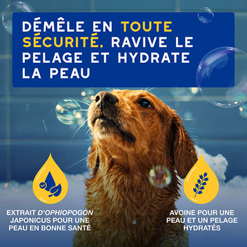DOUXO SPA Après-shampoing hydratant à l'avoine