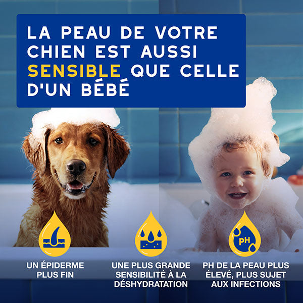 DOUXO SPA Après-shampoing hydratant à l'avoine