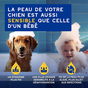 DOUXO SPA Après-shampoing hydratant à l'avoine
