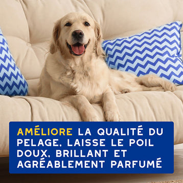 DOUXO SPA Après-shampoing hydratant à l'avoine