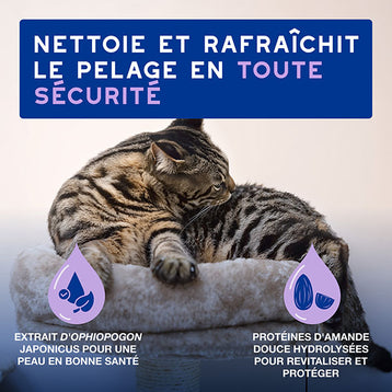 DOUXO SPA Mousse sans rinçage chat
