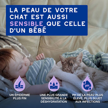 DOUXO SPA Mousse sans rinçage chat