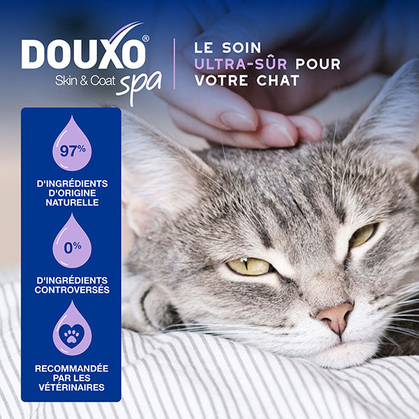 DOUXO SPA Mousse sans rinçage chat