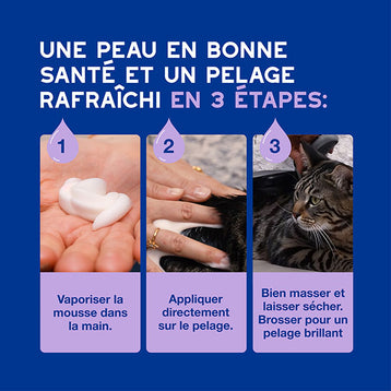 DOUXO SPA Mousse sans rinçage chat