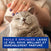 DOUXO SPA Mousse sans rinçage chat