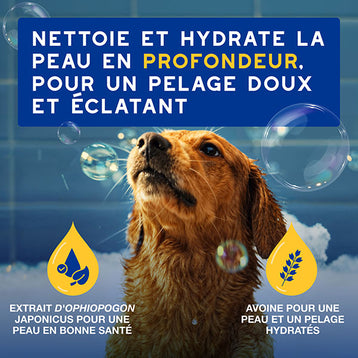 DOUXO SPA Shampoing Hydratant