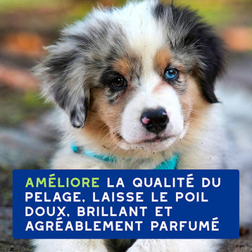 DOUXO SPA Shampoing chiot