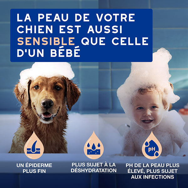 DOUXO SPA Shampoing Anti-chute de poils