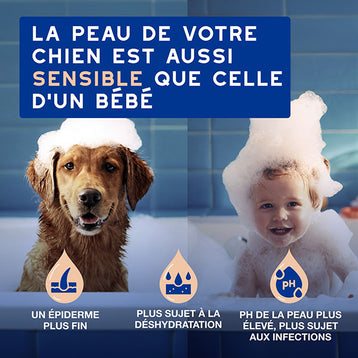 DOUXO SPA Shampoing Anti-chute de poils