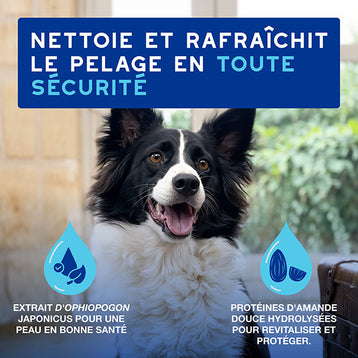 DOUXO SPA Mousse sans rinçage chien