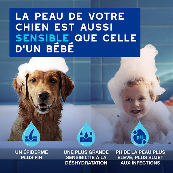 DOUXO SPA Mousse sans rinçage chien