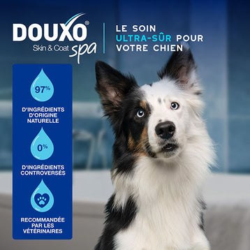 DOUXO SPA Mousse sans rinçage chien
