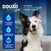 DOUXO SPA Mousse sans rinçage chien