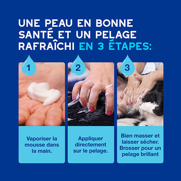 DOUXO SPA Mousse sans rinçage chien