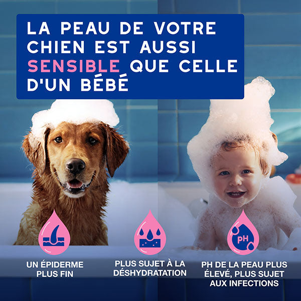 DOUXO SPA Shampoing Anti-démangeaisons