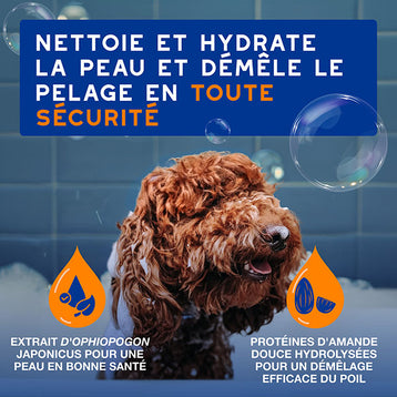 DOUXO SPA Shampoing Après-shampoing 2 en 1