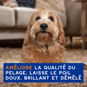 DOUXO SPA Spray Démêlant