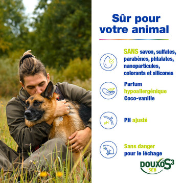 Pellicules et odeurs - Petite Routine
