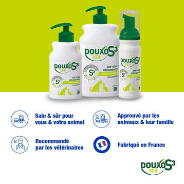 Pellicules et odeurs - Grande Routine