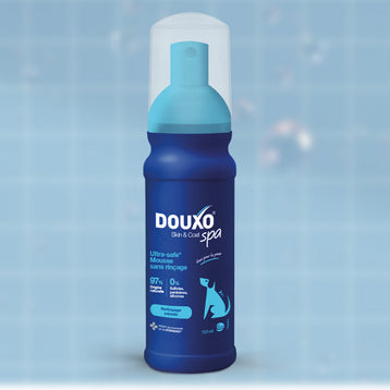 DOUXO SPA Mousse sans rinçage chien